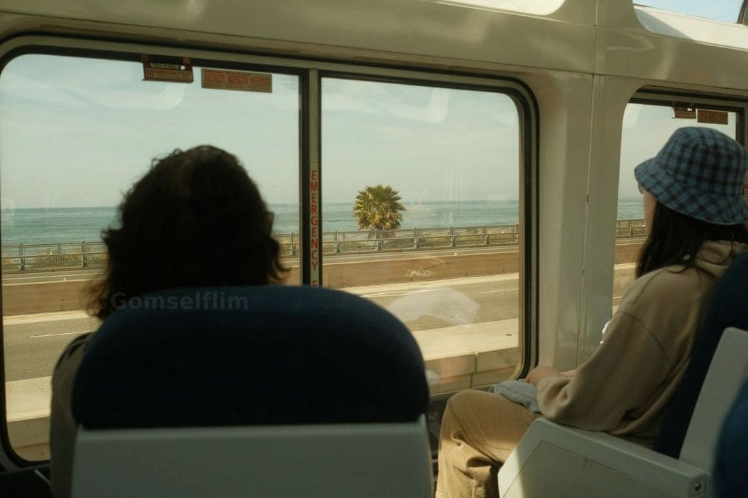 Gomselflim 5